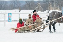 Подарочный сертификат "Катание на лошадях" Катание в желтых голубых санях Подарочный сертификат "Катание на лошадях" Катание в желтых голубых санях