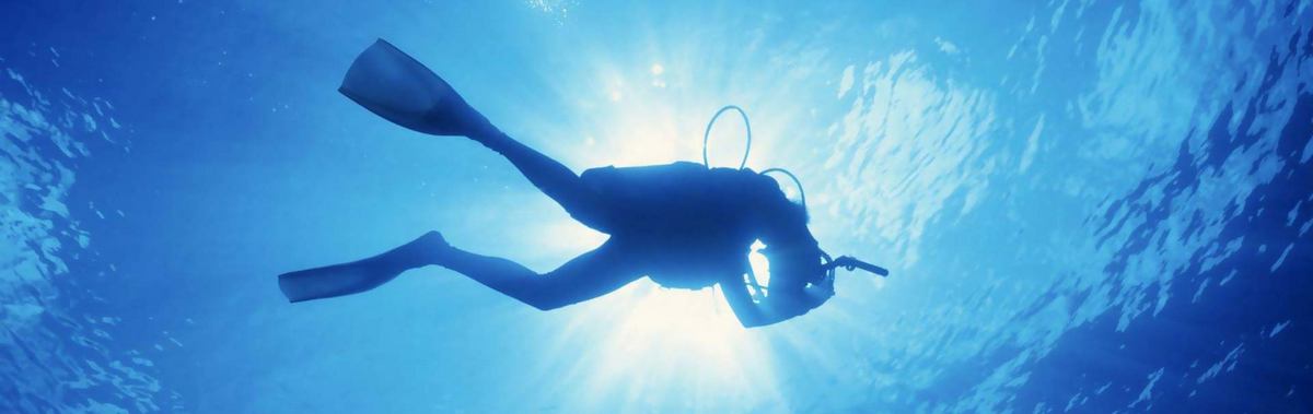 Подарочный сертификат Курс Open Water Diver Referral Подарочный сертификат Курс Open Water Diver Referral
