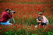картинка Подарочный сертификат Фотосессия на открытом воздухе, 1 час в интернет-магазине подарочных сертификатов Дарить Легко. картинка Подарочный сертификат Фотосессия на открытом воздухе, 1 час в интернет-магазине подарочных сертификатов Дарить Легко.