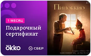 Подарочный сертификат Okko "Премиум" Подарочный сертификат Okko "Премиум"