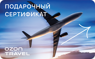 картинка Подарочный сертификат OZON.travel в интернет-магазине подарочных сертификатов Дарить Легко. картинка Подарочный сертификат OZON.travel в интернет-магазине подарочных сертификатов Дарить Легко.
